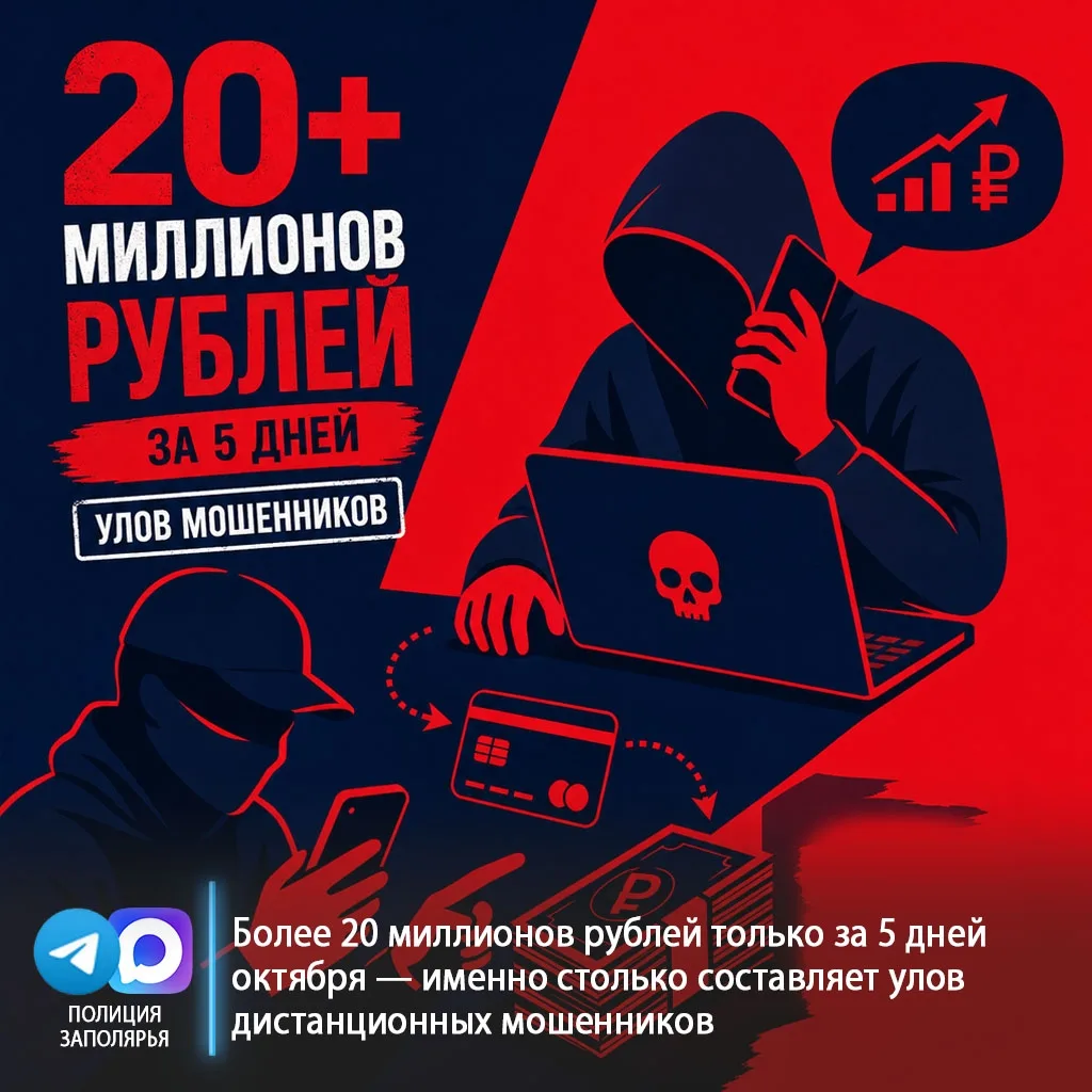 За первые пять дней октября в Мурманской области мошенники обманули людей на более чем ...