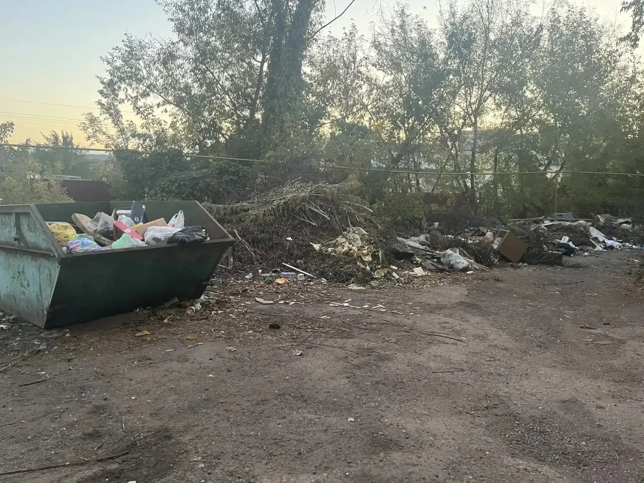 📍 Жители просят привести в порядок контейнерную площадку на проспекте Победы, 84