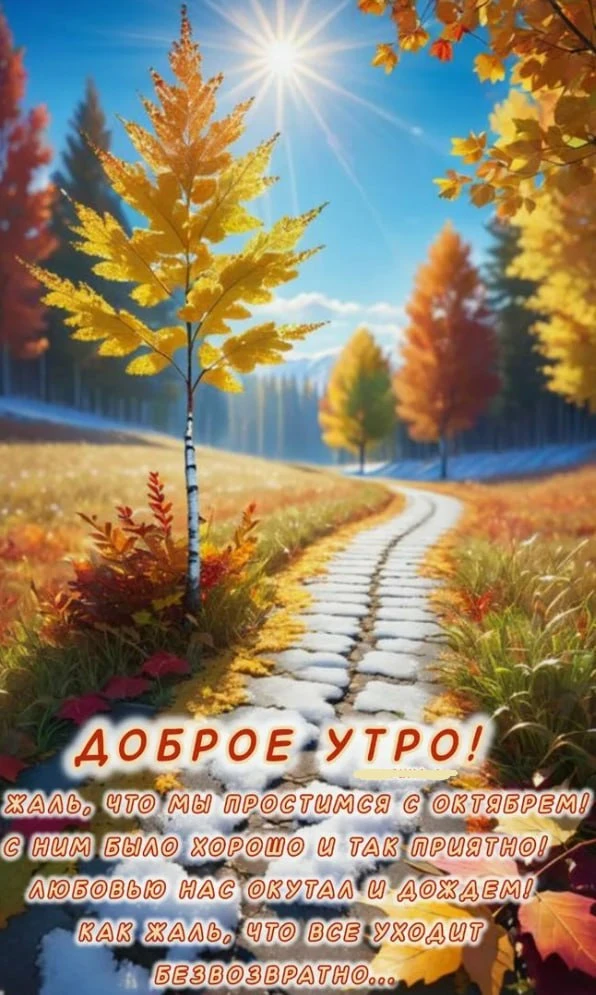 📅🥂Всех — с новым днем!