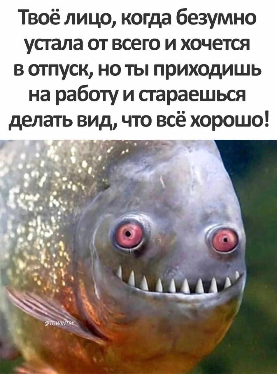 🎃 Весело у нас 🧨