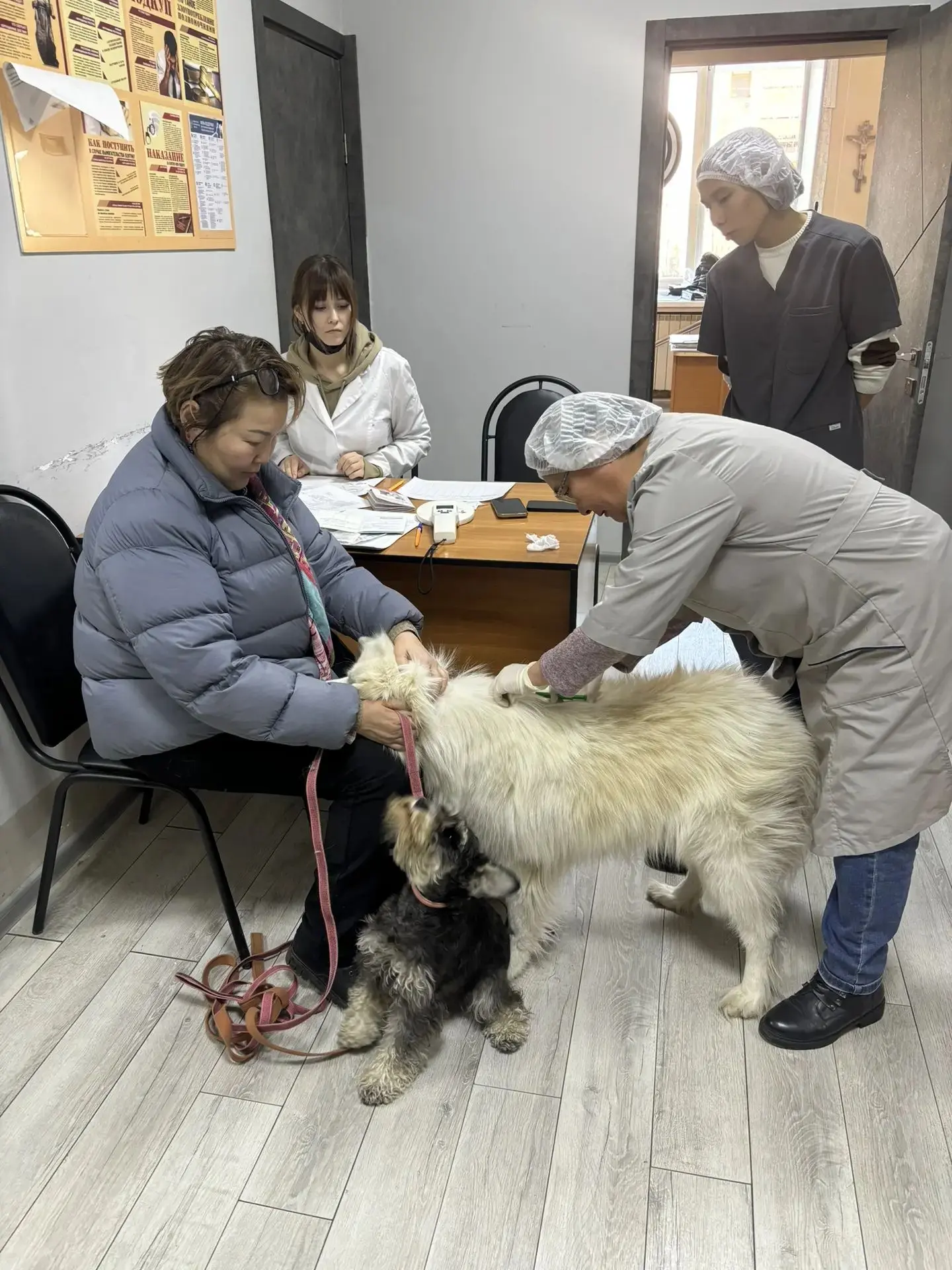 🐾 В Управе проходит бесплатная вакцинация собак и кошек