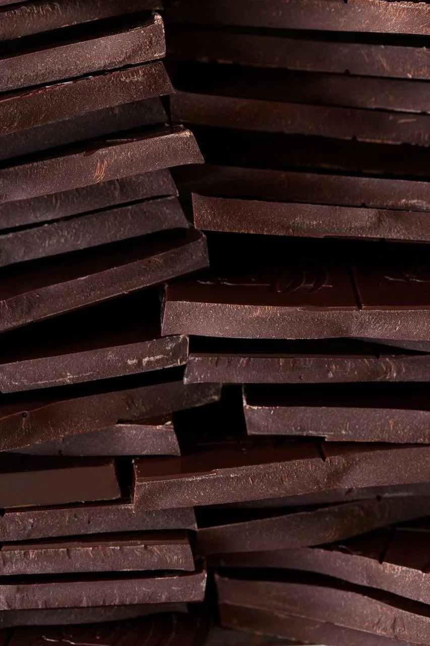 Праздник Шоколада — территория какао-культуры🍫