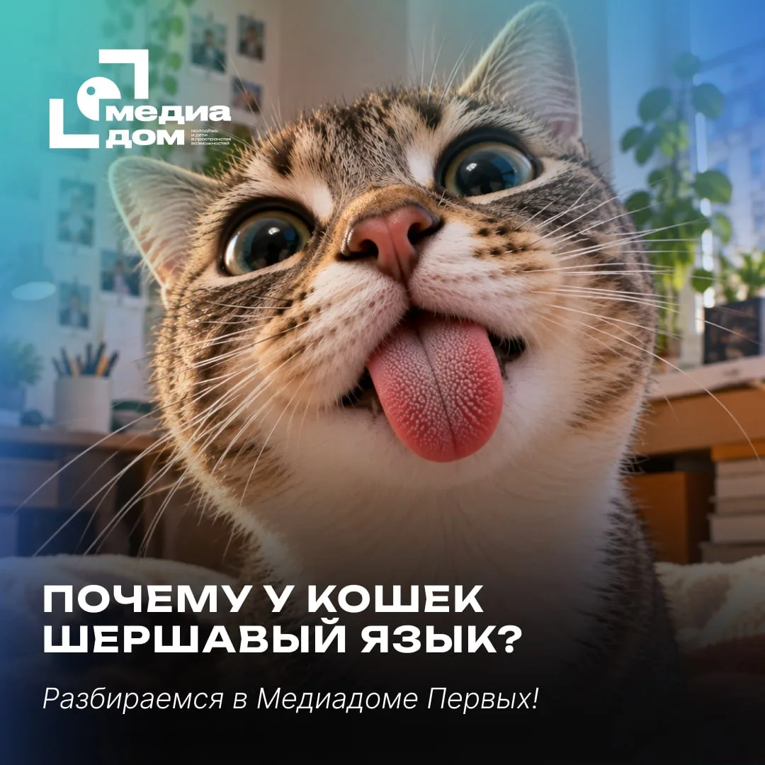 🐱 У твоего кота есть встроенная расчёска!