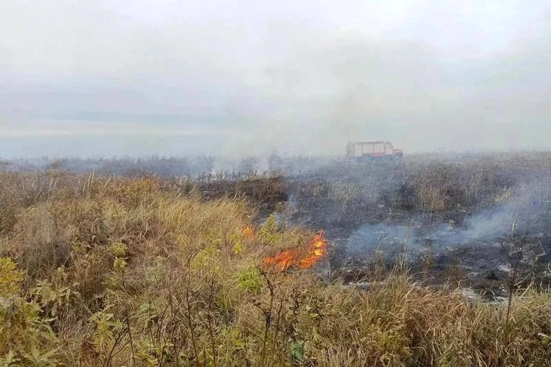 В Кургане сожгли сухую траву на 149 гектарах