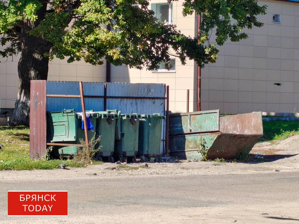 «Чистая планета» пожаловалась на забитые листвой контейнеры в Брянске