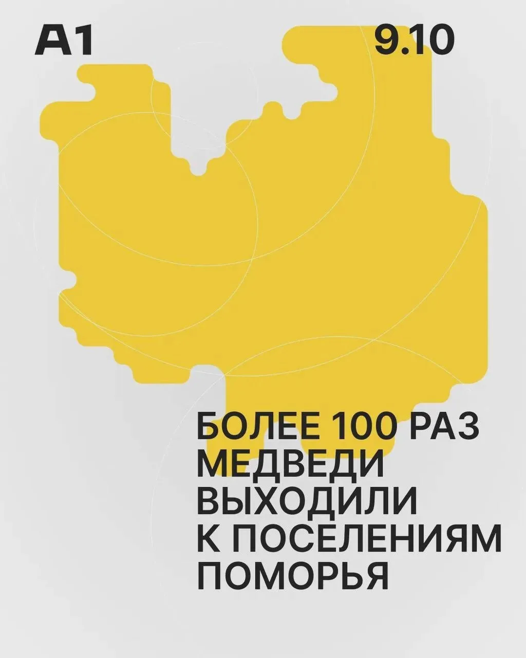 В Поморье отмечено свыше 100 выходов медведей