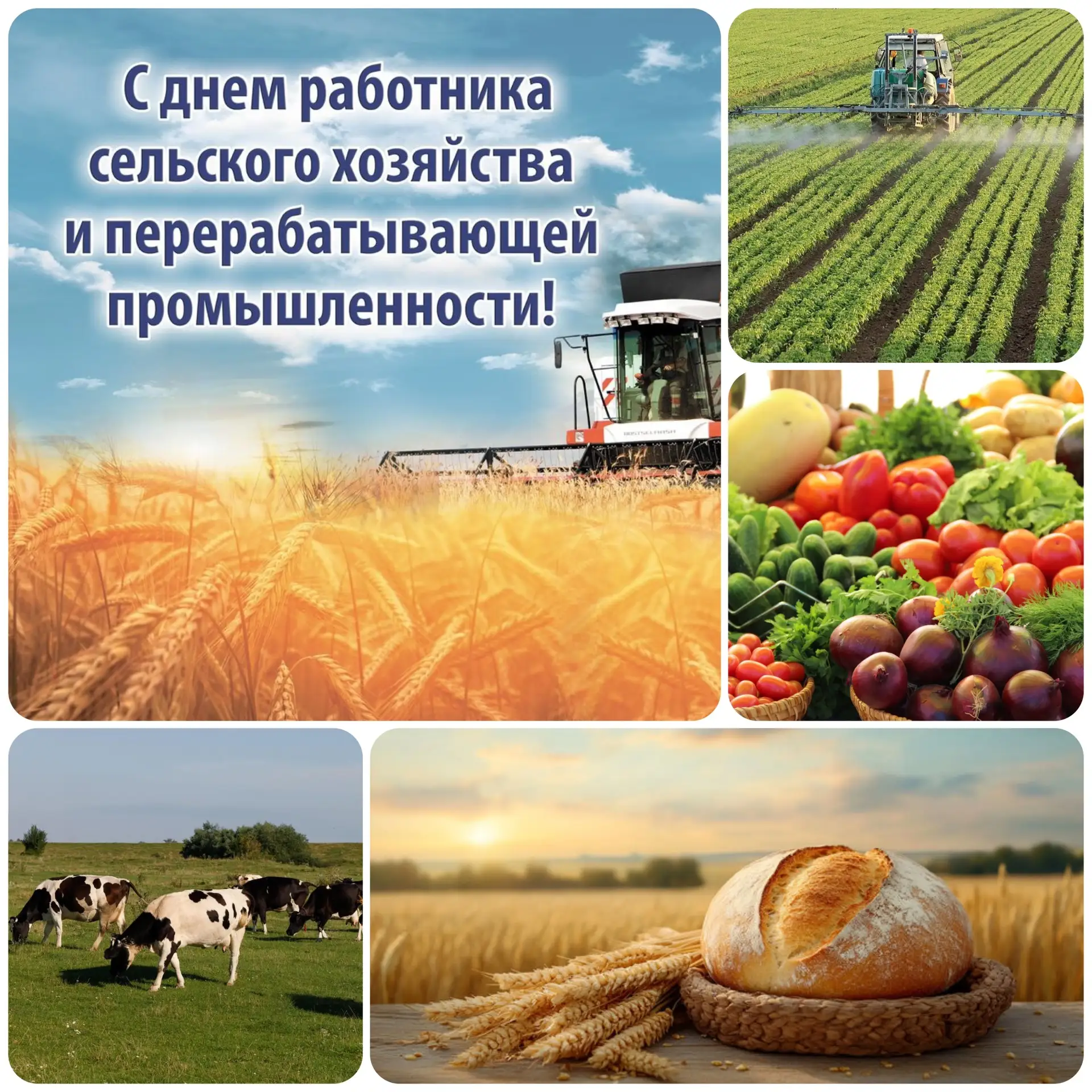 Уважаемые труженики агропромышленного комплекса!
