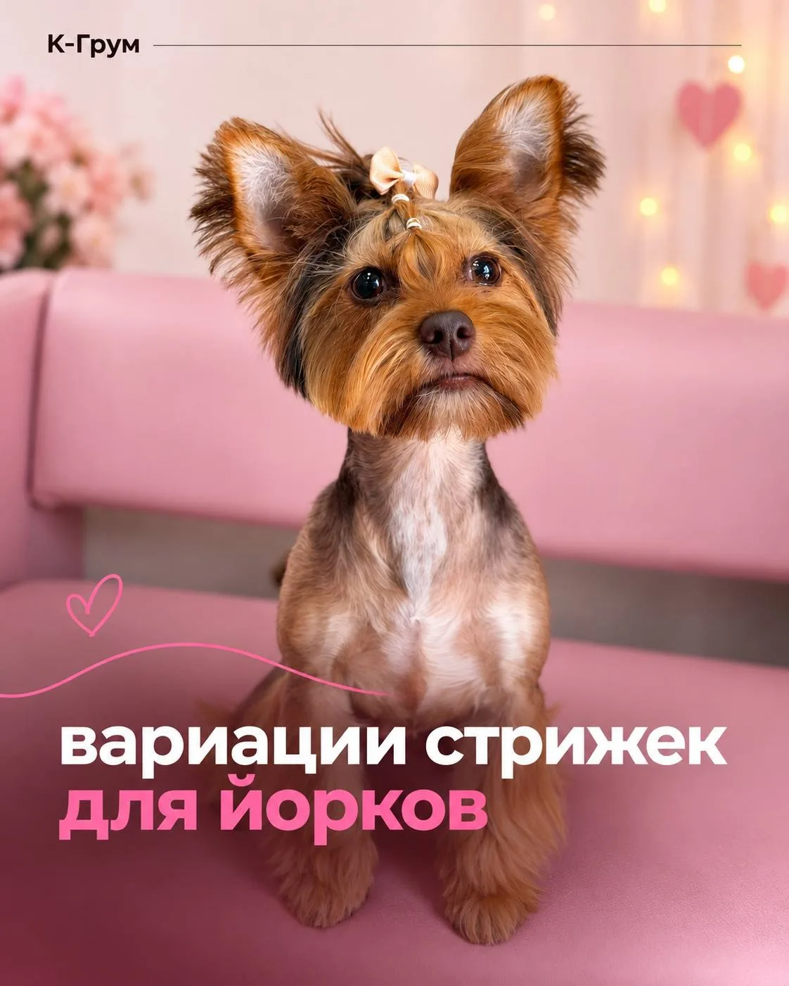 Йорку можно сделать совершенно разный образ✂️🐶