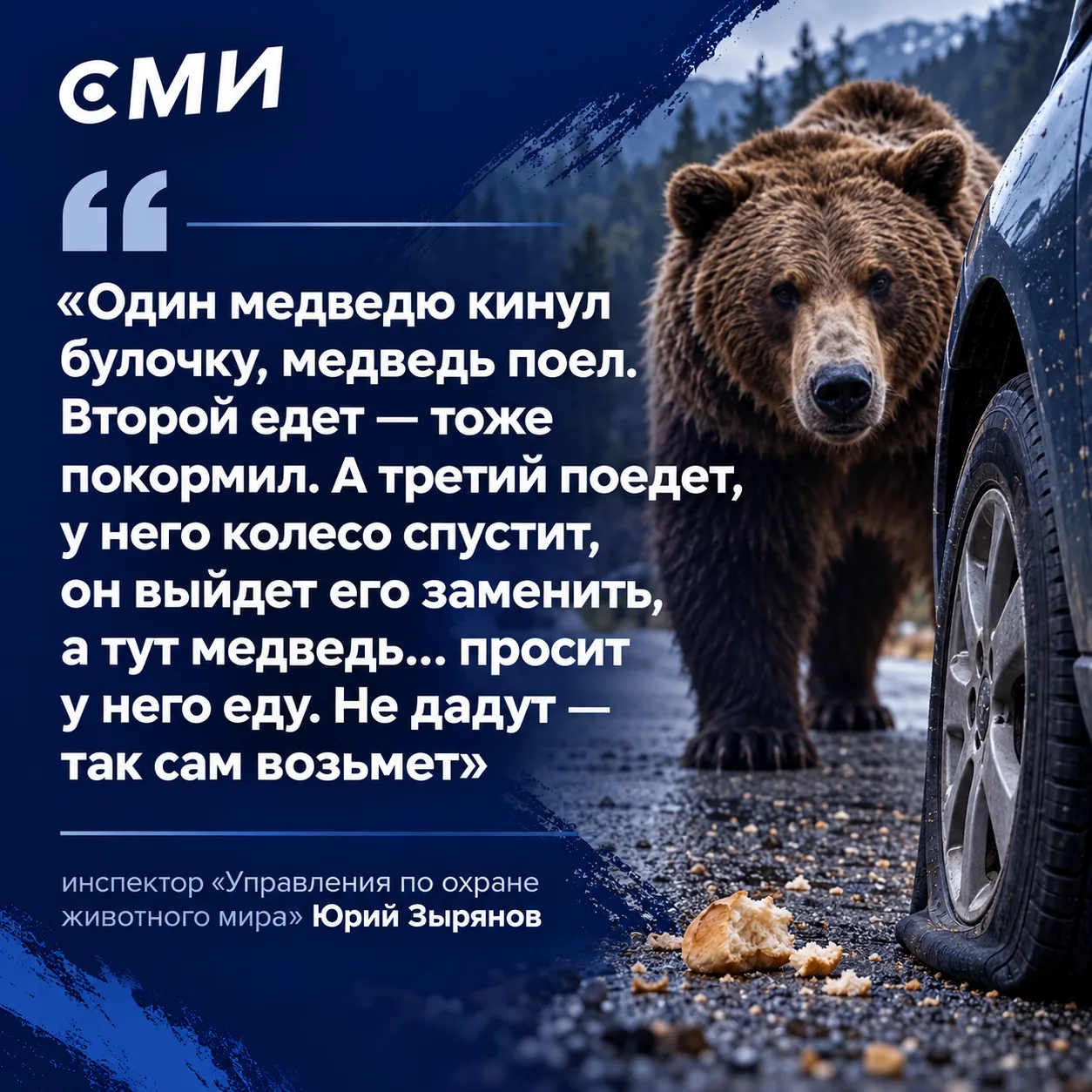 Медведи в этом году серьезно пугают россиян, все чаще забредая в населенные пункты и ка...