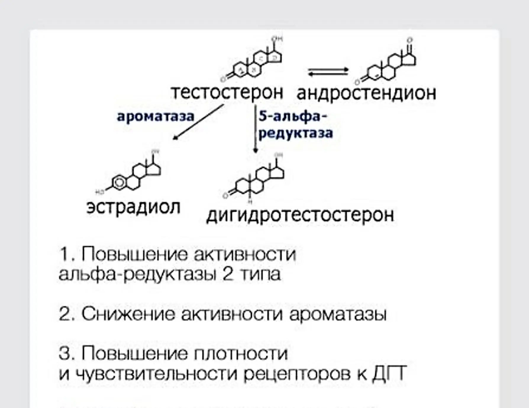 Алопеция, генетика и ферритин