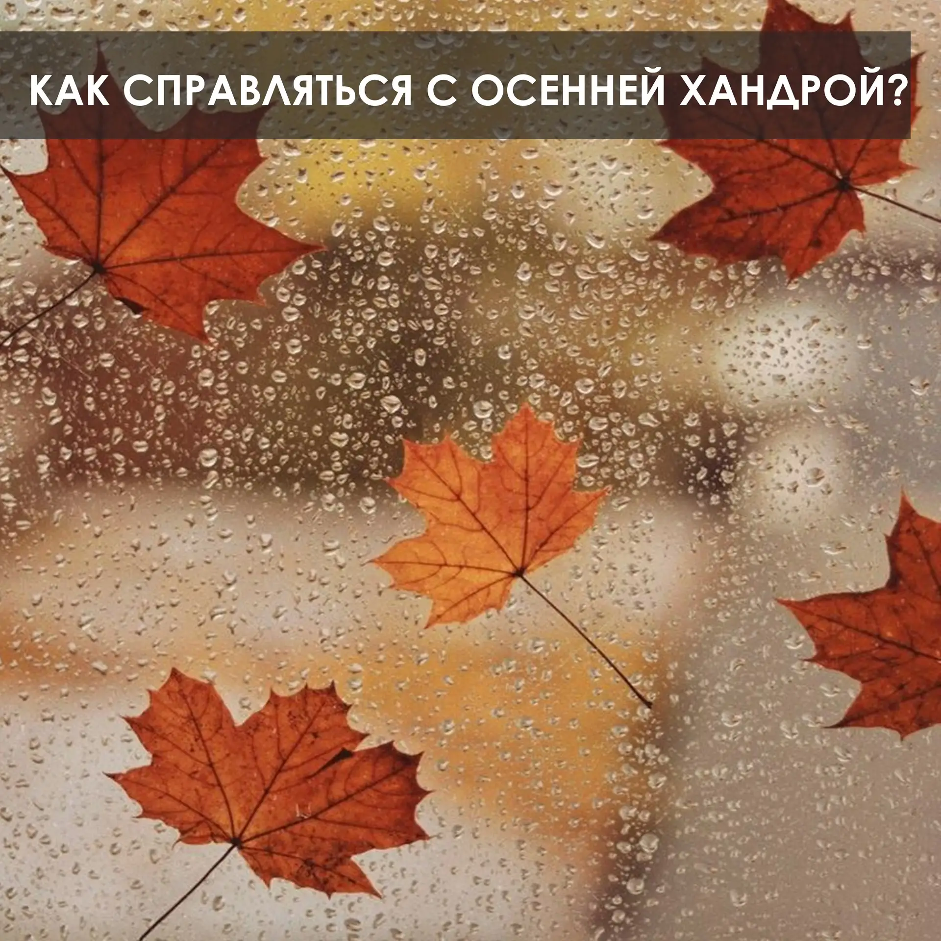 Доброе утро, друзья! Осенняя хандра - это не лень и не слабость. Это реальная реакция о...
