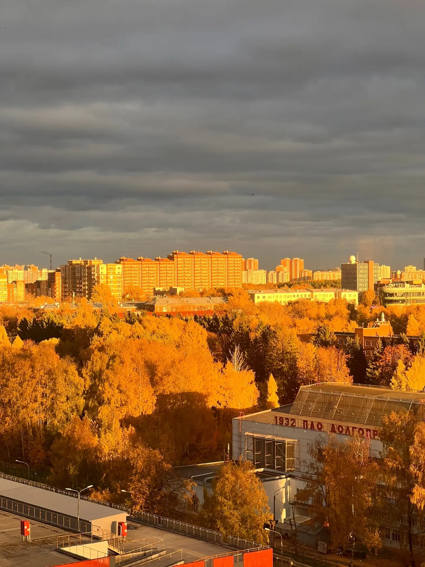 В золотом закате 🧡