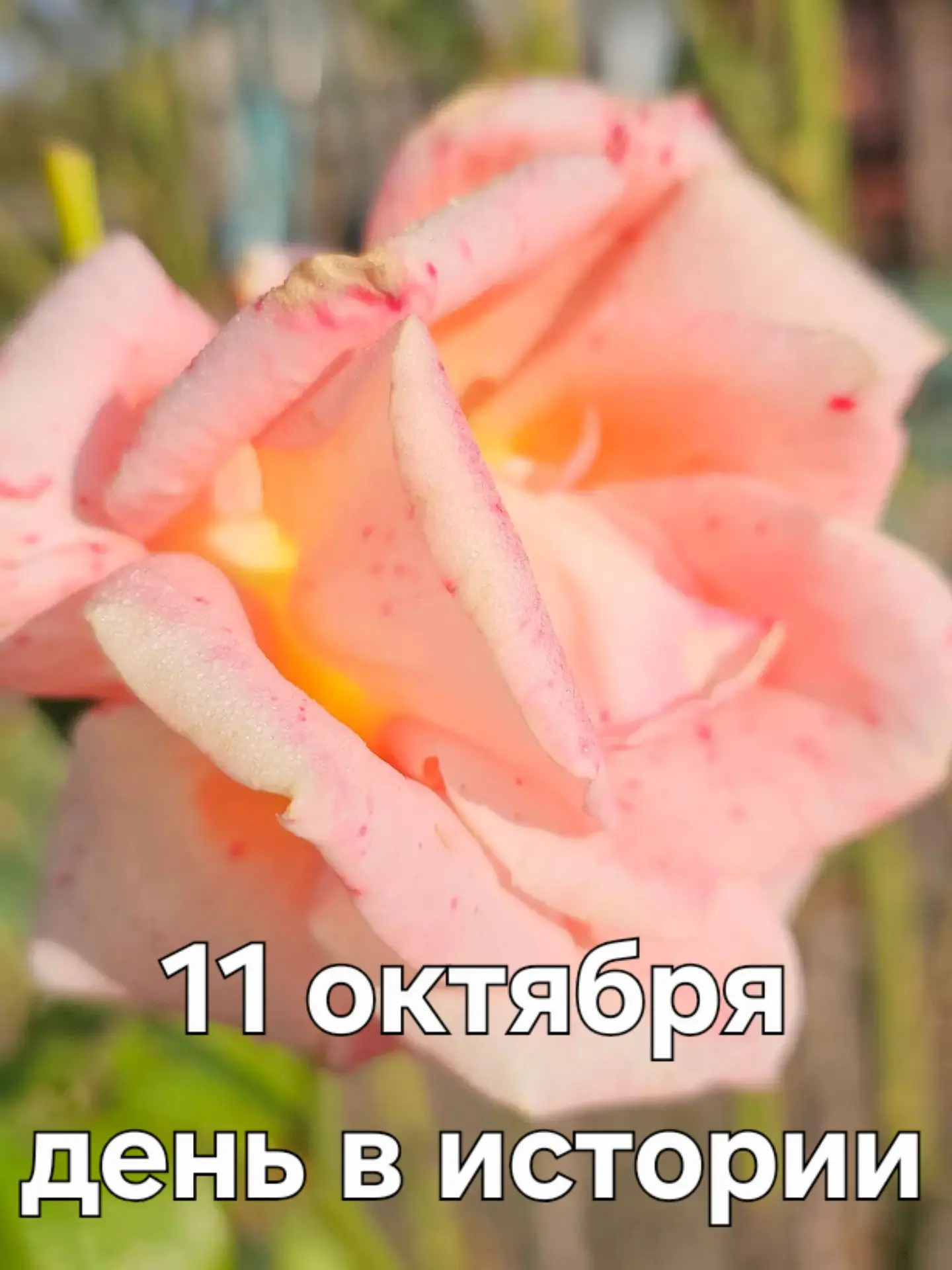 А знаете ли вы, что ❓