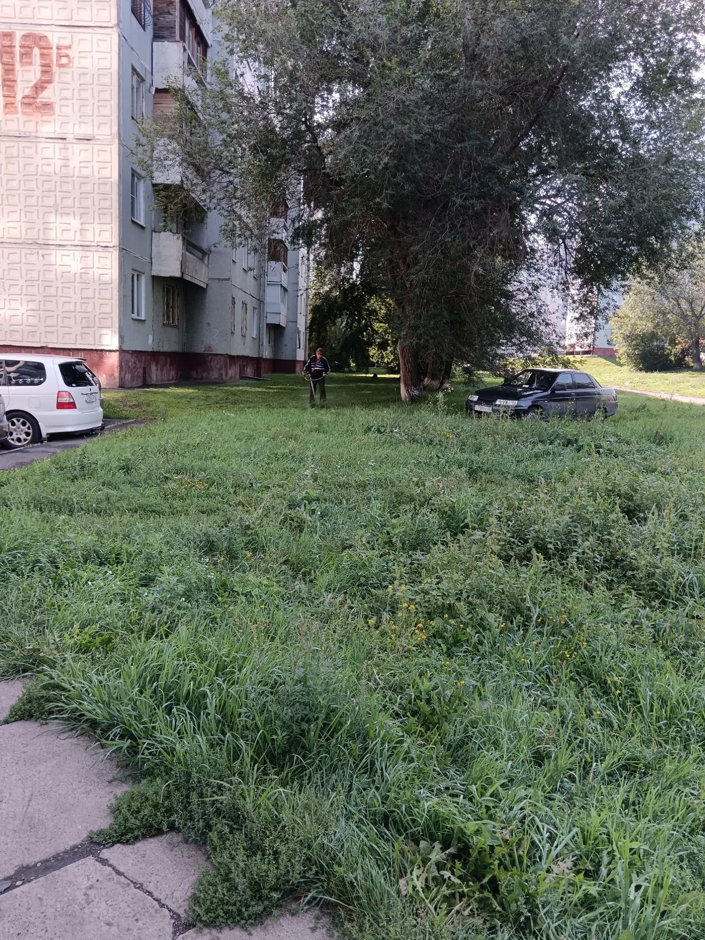 Окос территории дома ул.Марковцева, 12Б.