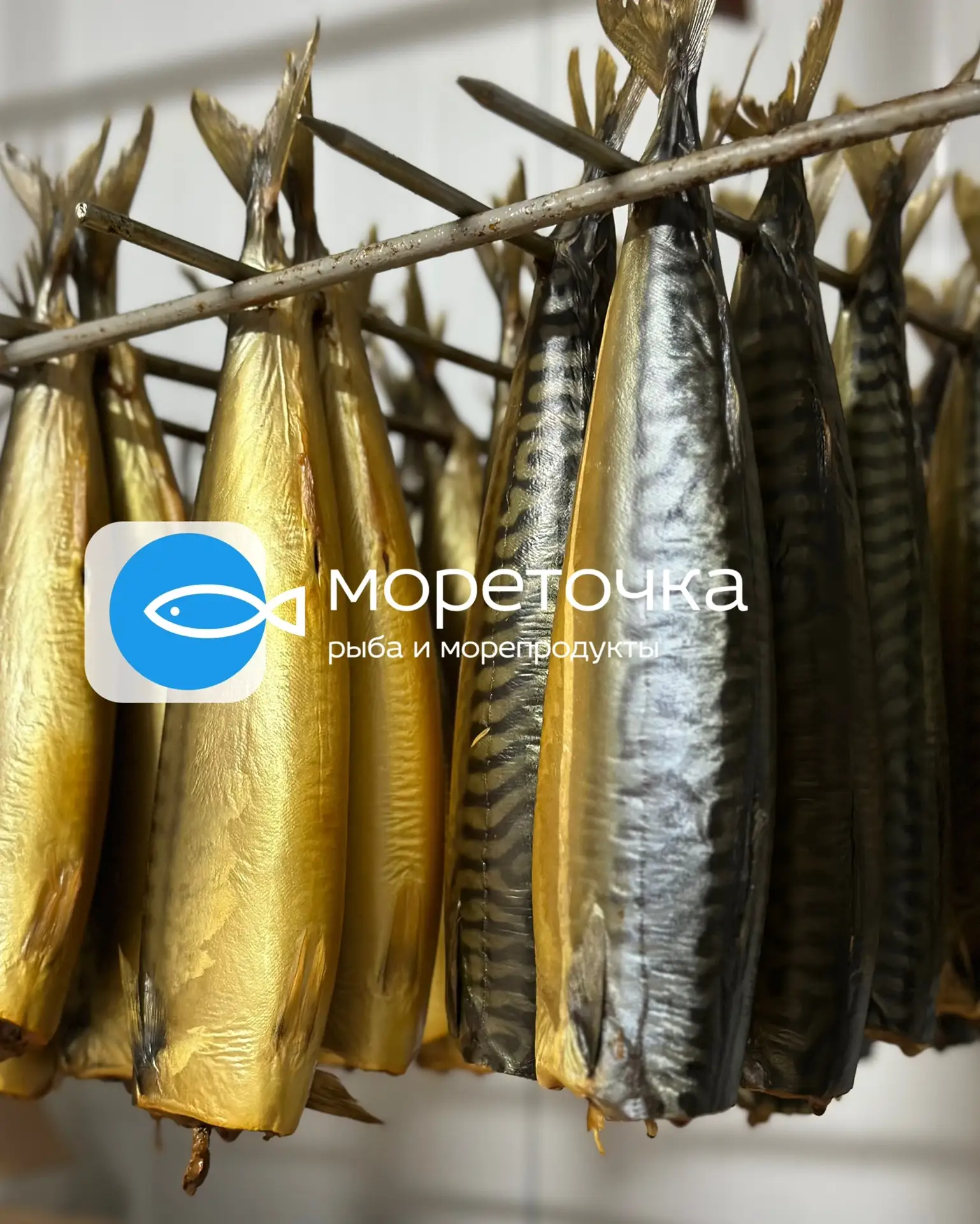 🐟 «МОРЕТОЧКА» — МЫ САМИ ДЕЛАЕМ РЫБУ, КОТОРУЮ ВЫ ЛЮБИТЕ