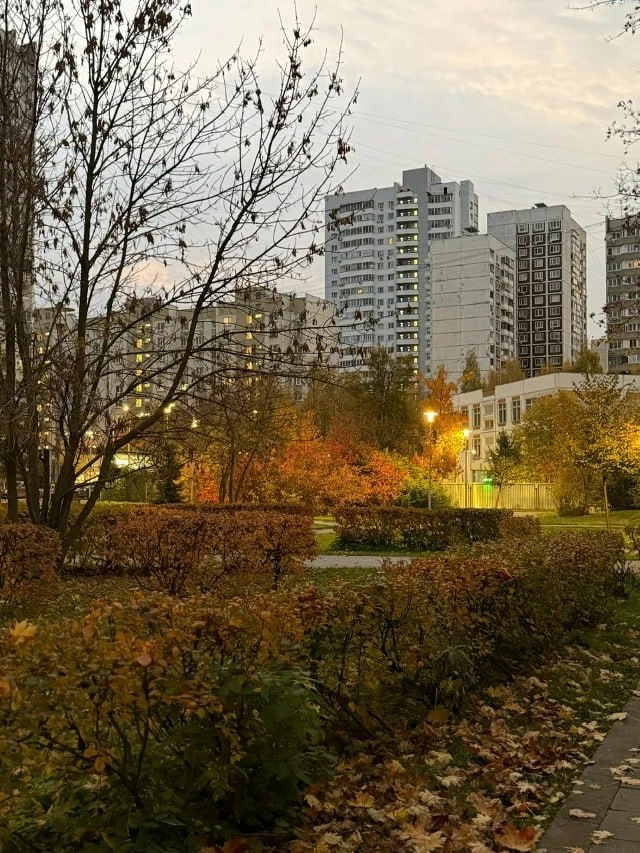 Утро всё чаще встречает темнотой, холодом и шуршанием листьев под ногами.