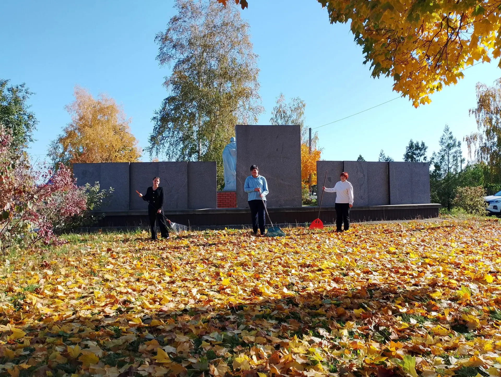 Осень — прекрасное время для наведения порядка🍁