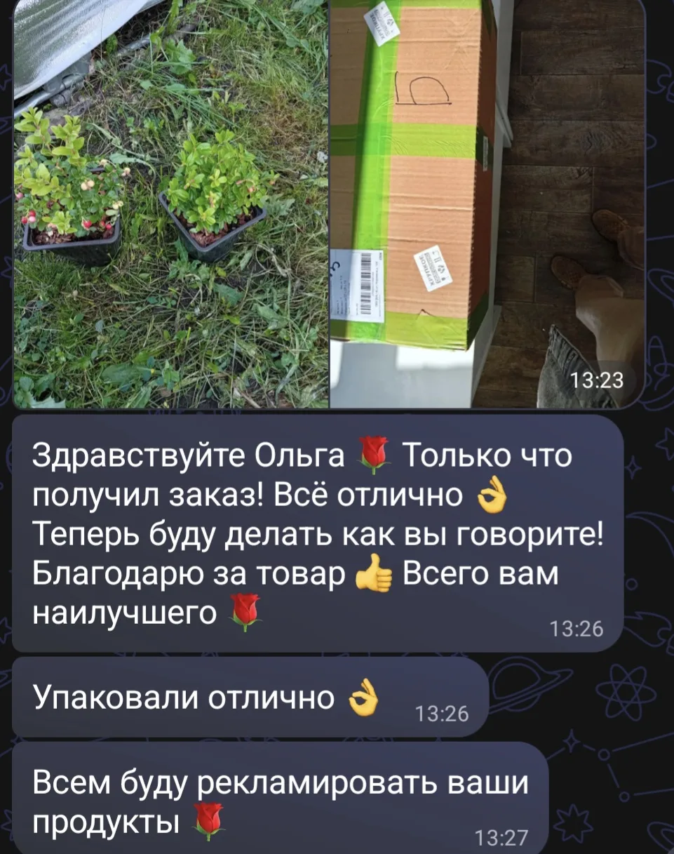 🦔 Ваши отзывы — отдельная радость и греют душу! ❤️