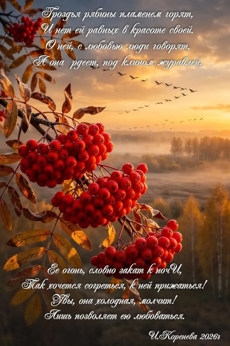 🍂♥️🍂♥️🍂♥️