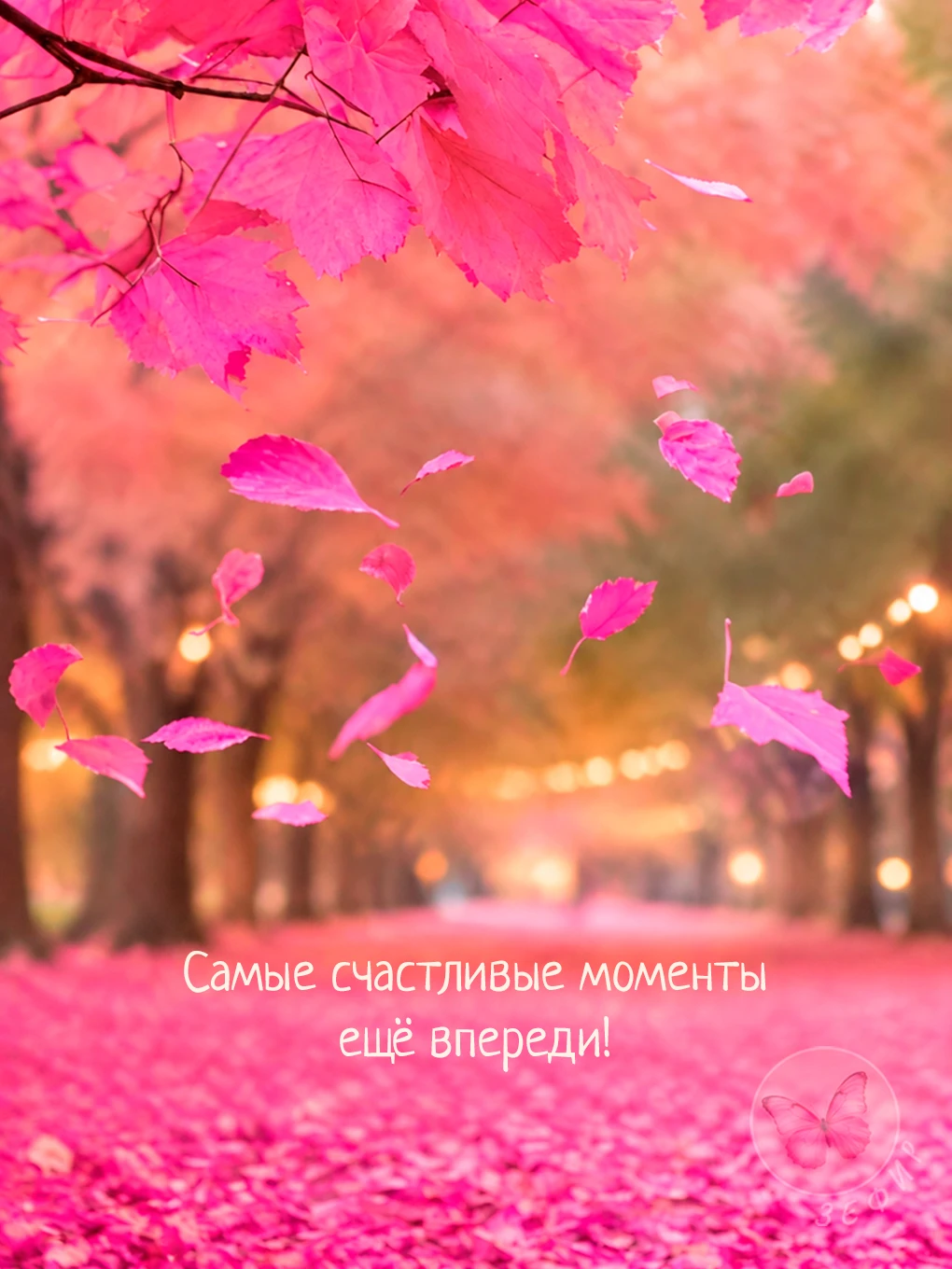 З Е Ф И Р