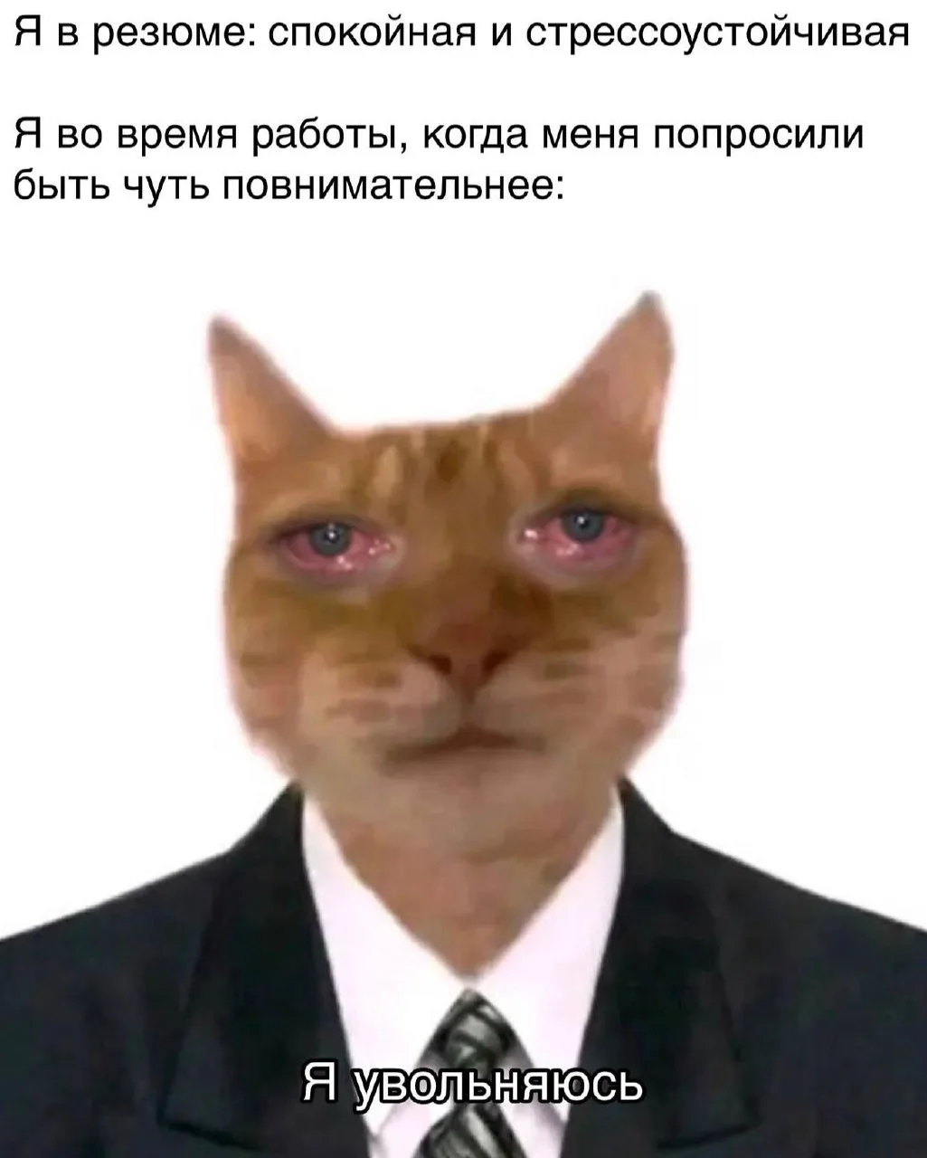 Мемы в MAX