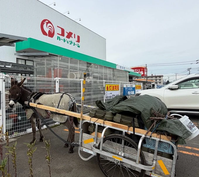 Таромару «припарковал» своего Кусацунэ у хозяйственного гипермаркета «Комэри».