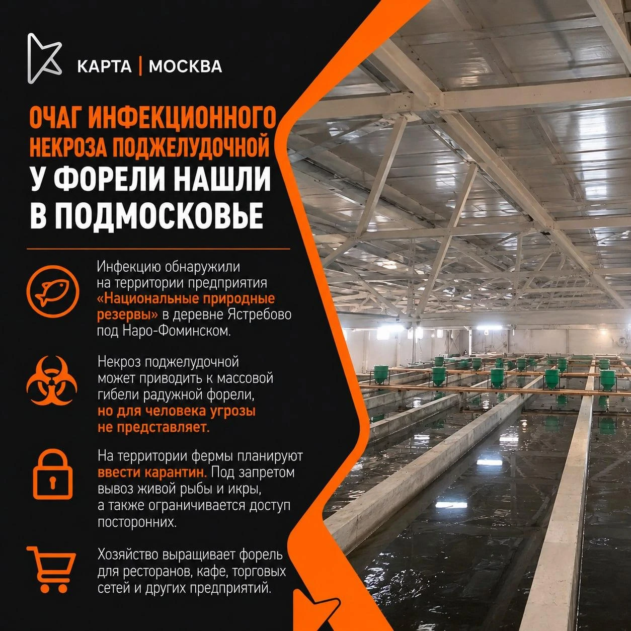 Главное за 12 октября 2026