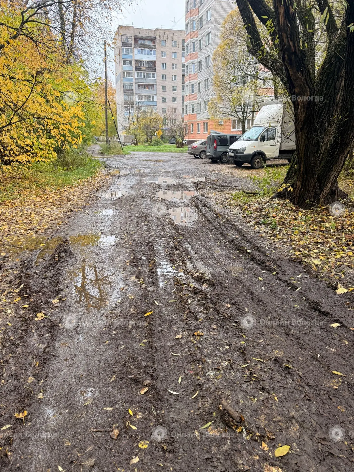 Уважаемая администрация города, а так же - ЖКХ.