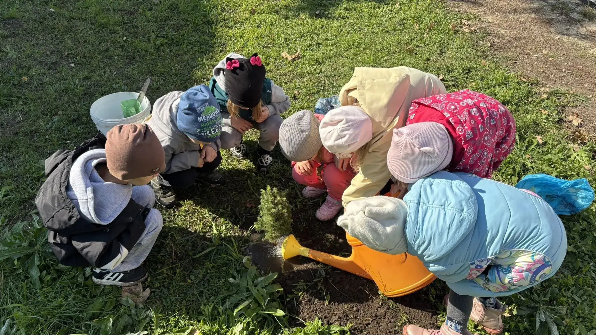 🌳Посади дерево — вырасти добро!🌳