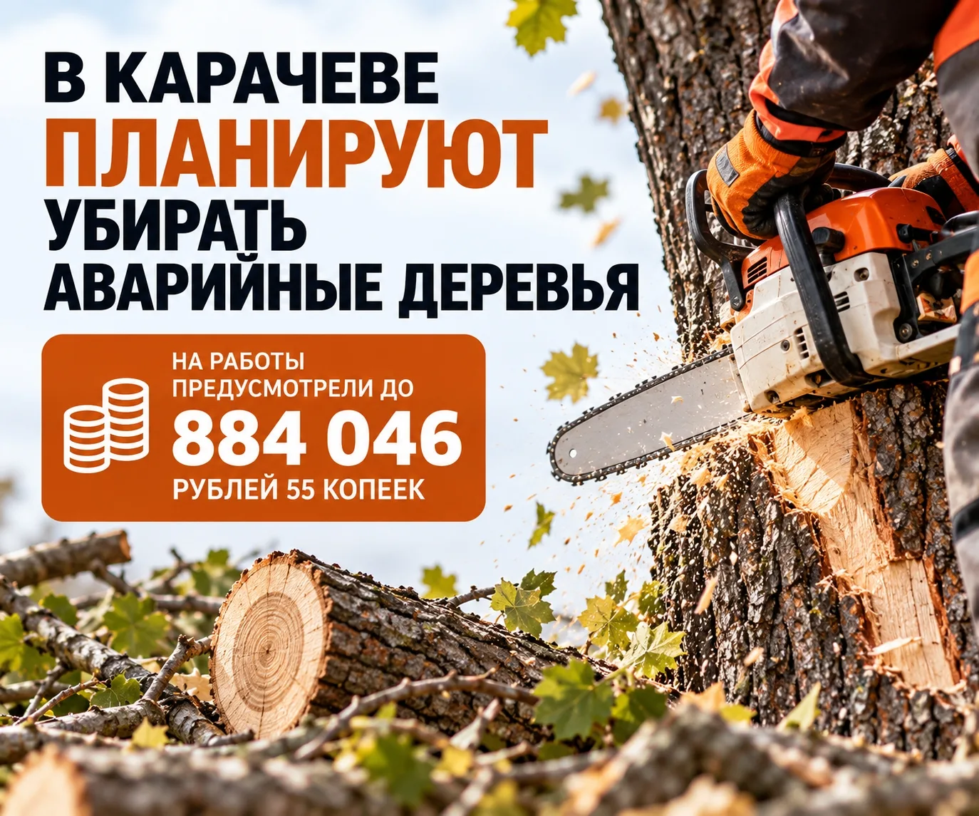 В КАРАЧЕВЕ ПЛАНИРУЮТ УБИРАТЬ АВАРИЙНЫЕ ДЕРЕВЬЯ: НА РАБОТЫ ПРЕДУСМОТРЕЛИ ДО 884 ТЫСЯЧ РУ...