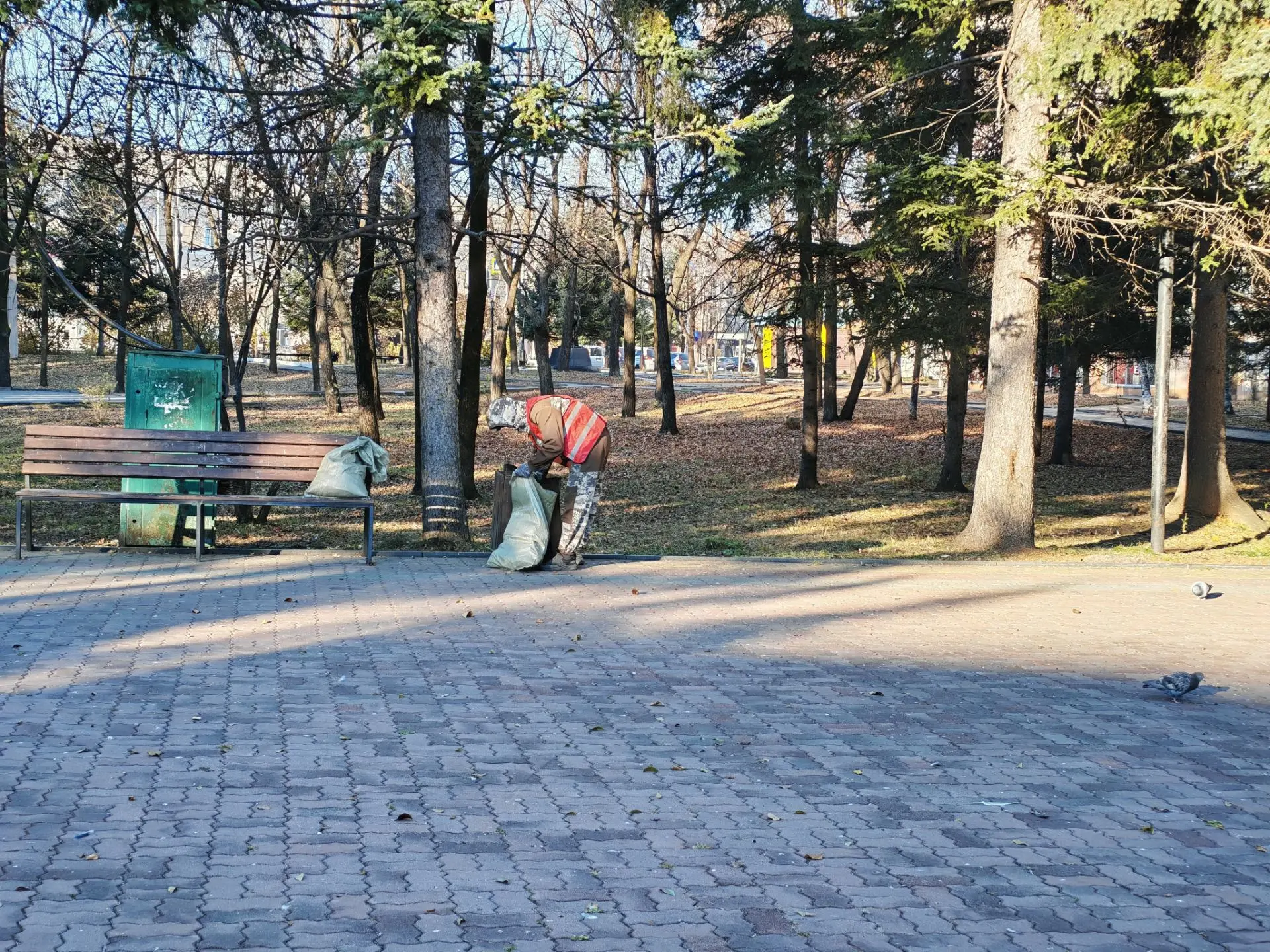 🍁 В Биробиджане продолжается осенняя уборка