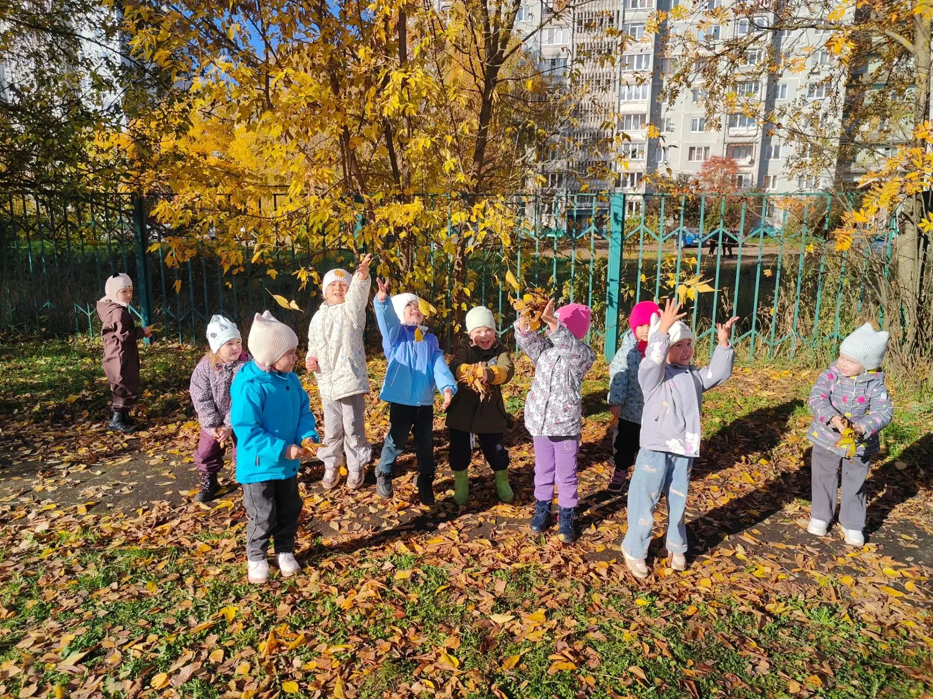 Как же прекрасна золотая осень! 🍂🤩