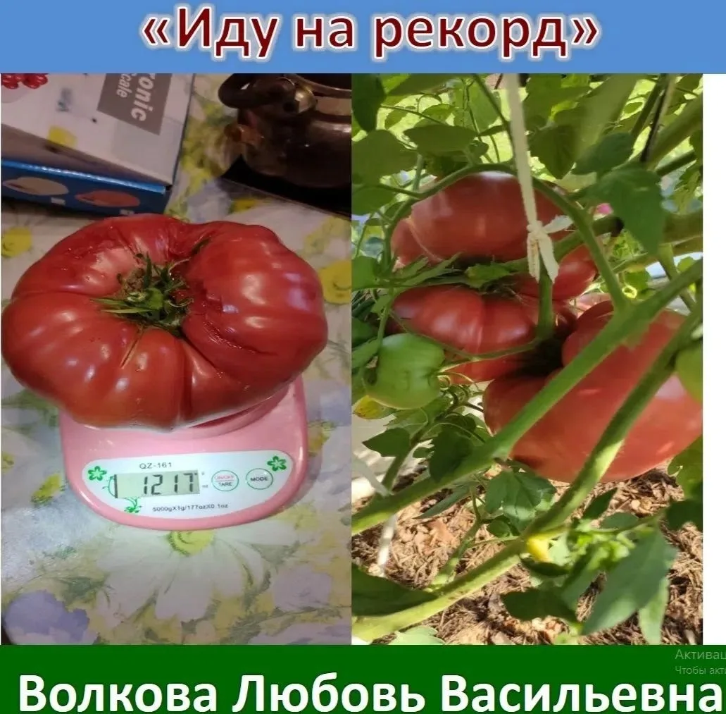 🏆Салдинцы стали победителями и призёрами окружного этапа областного конкурса клубов са...