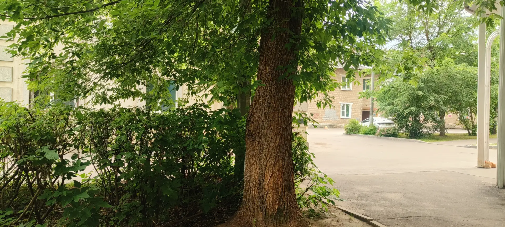 Ищем очередного пятничного котика 😻