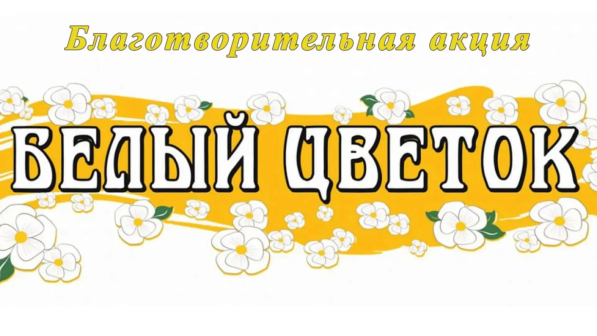 Благотворительная акция «Белый цветок»: помогаем вместе! 🌸
