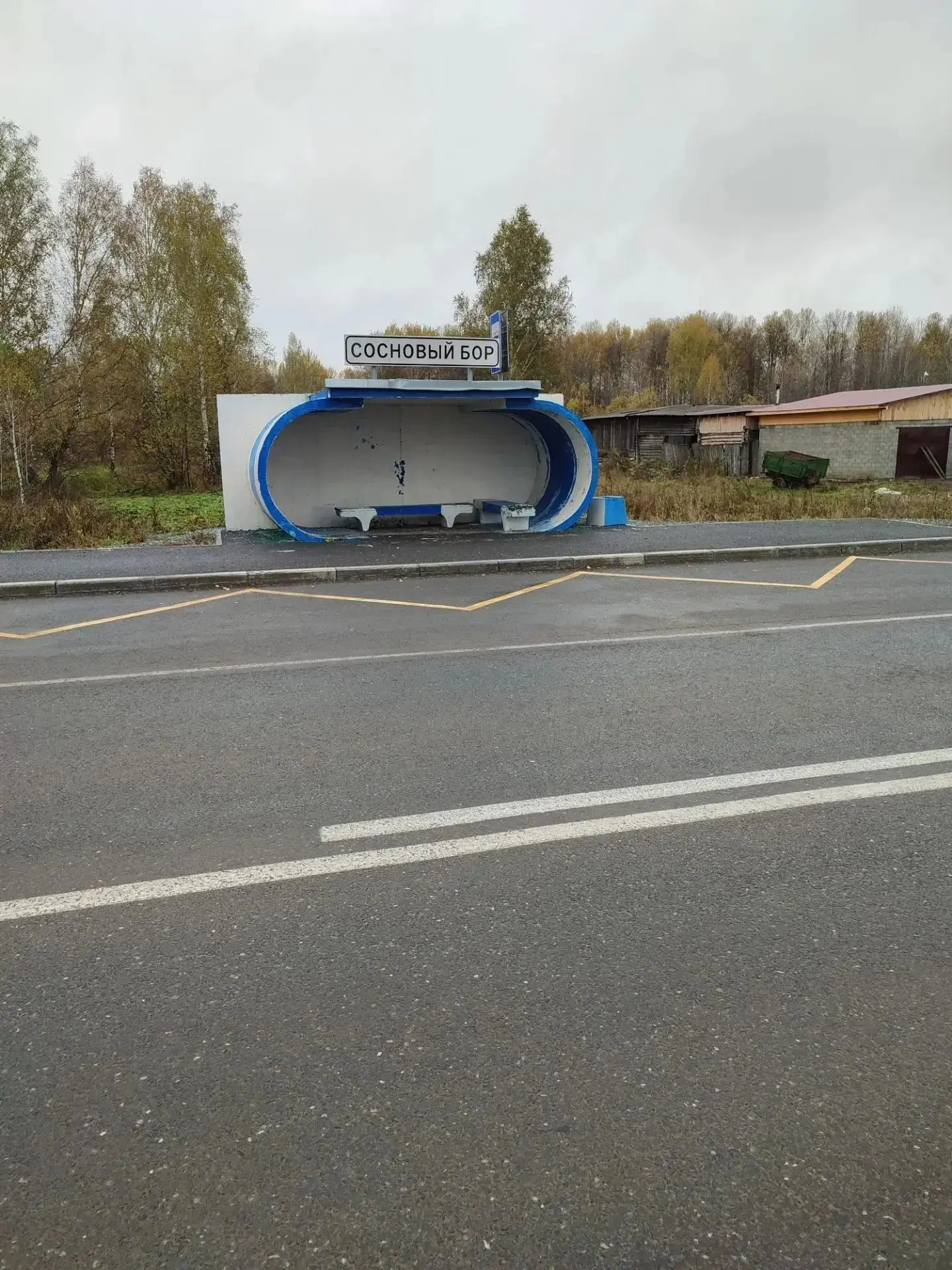 "Расписание корректируется": в мэрии ответили. что произошло с маршрутом автобуса №119