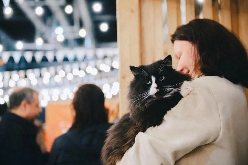 🐾 Фестиваль животных на Хлебозаводе
