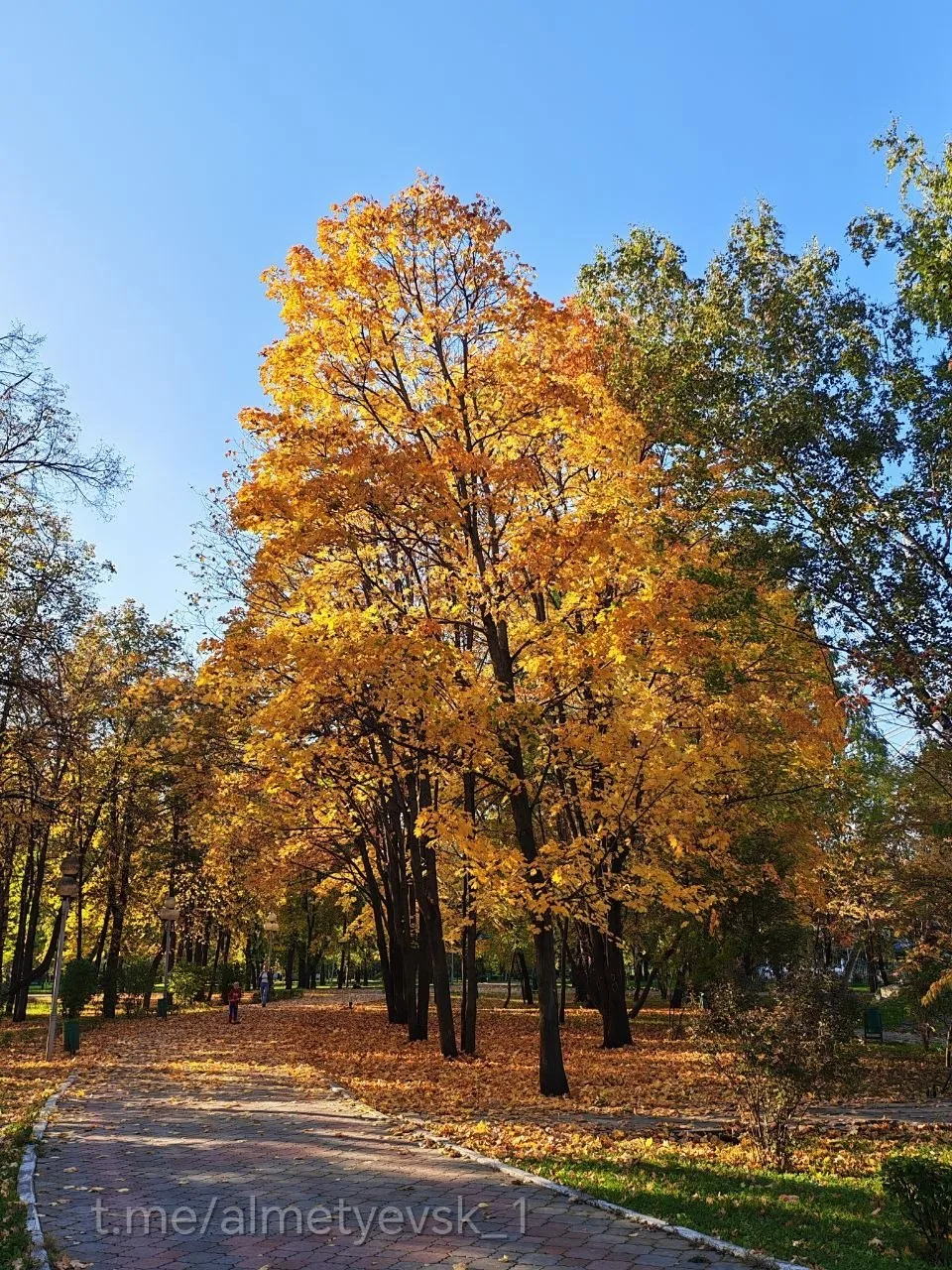 В Татарстане потеплеет до +22°