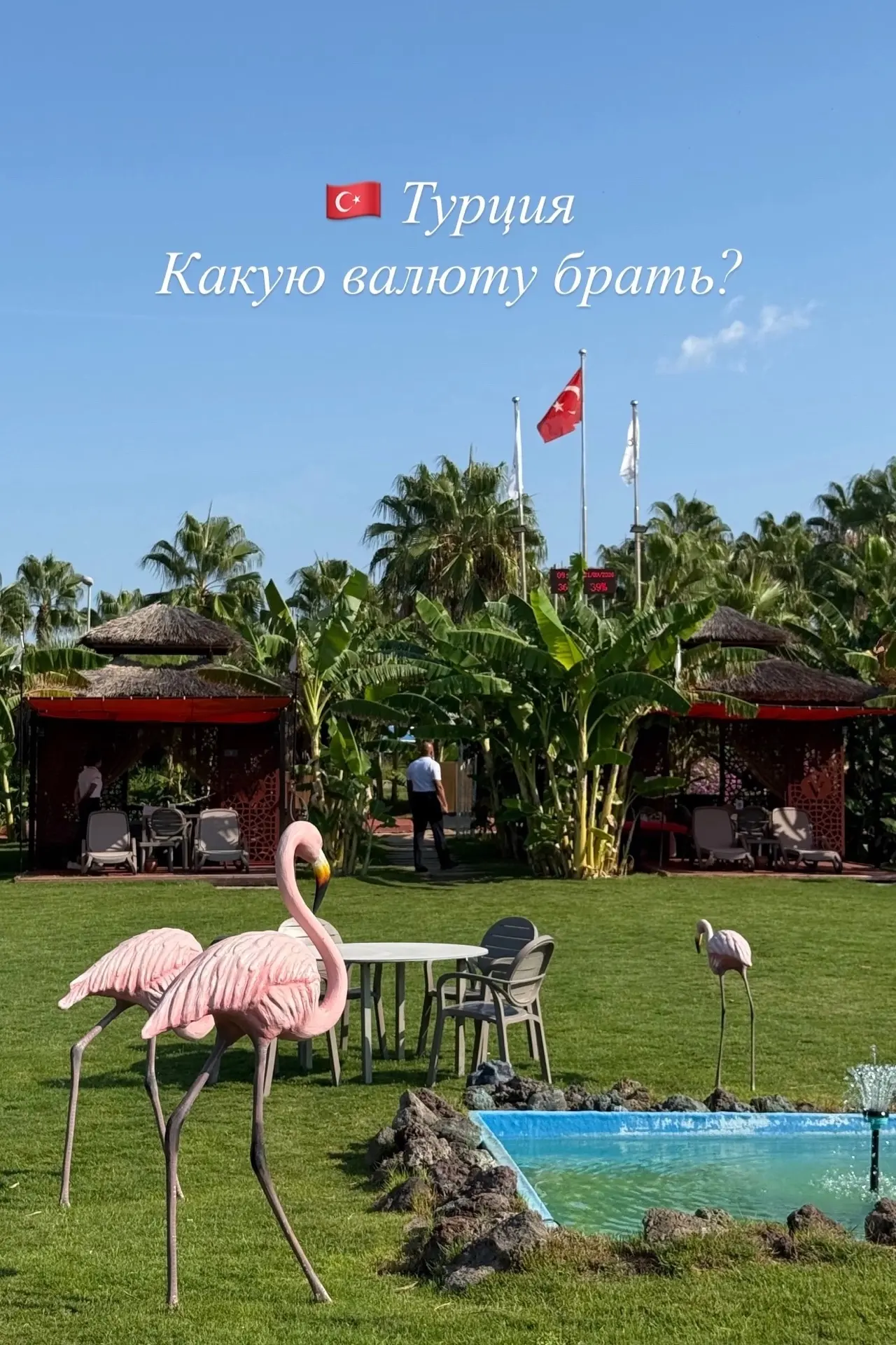 🇹🇷 Турция. С какой валютой ехать