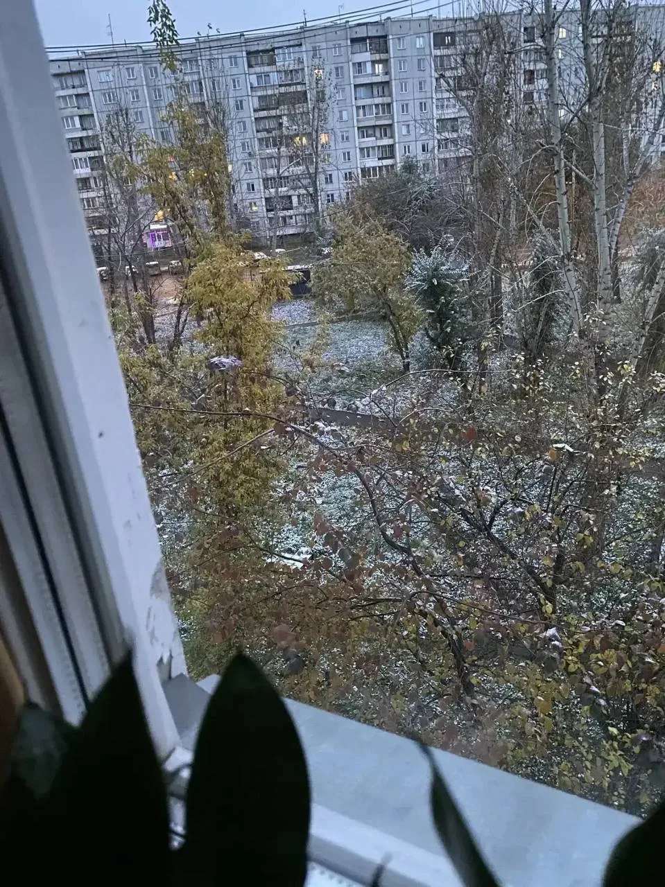 Зима пришла в Красноярск❄️❄️❄️