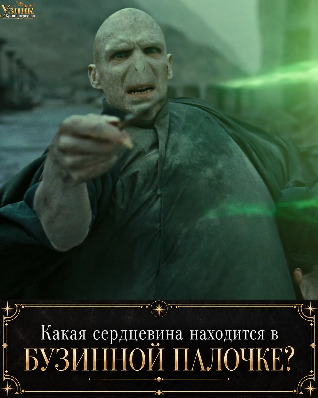 Какая сердцевина находится в Бузинной палочке? ⚡️