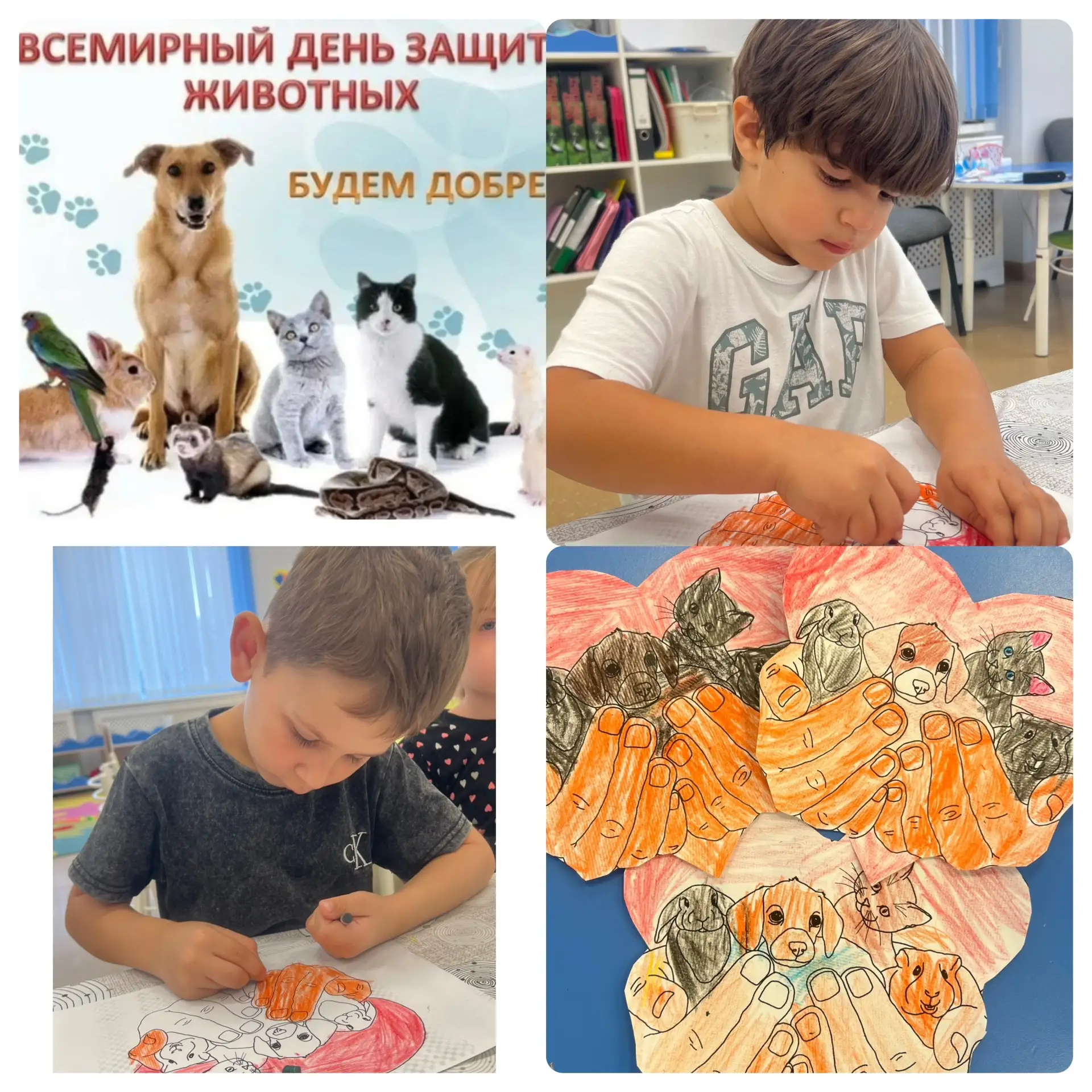 🐈‍⬛🐈Всемирный день защиты домашних животных 🐶🐖