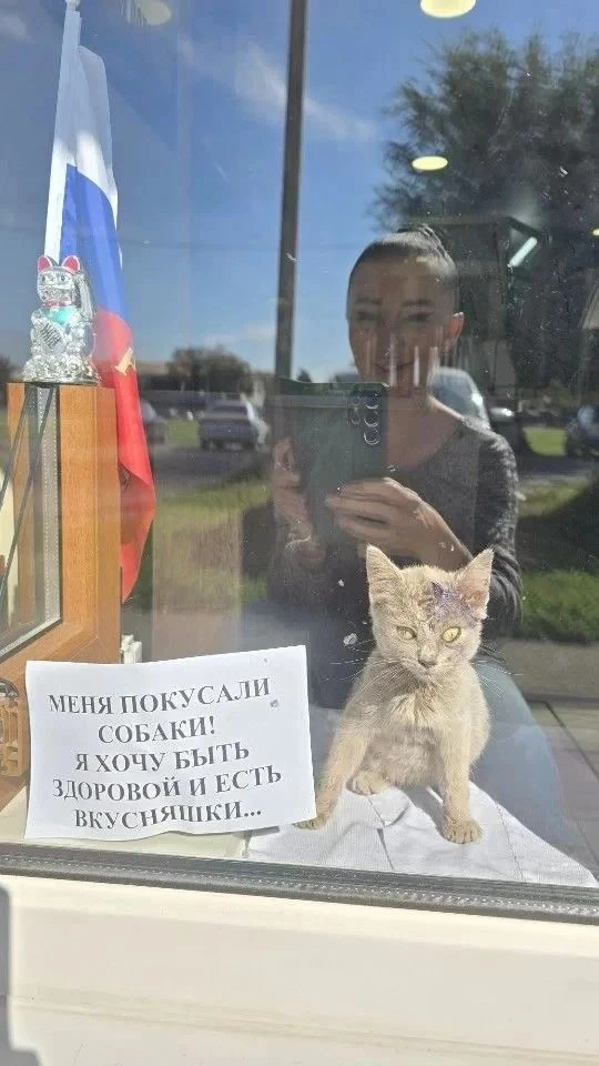 💔"Чудом спасли Лизу"