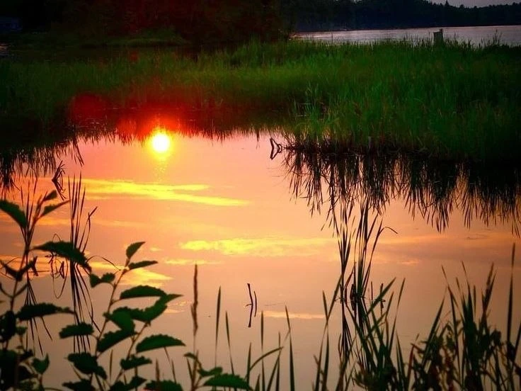 ☀️ Доброе утро!