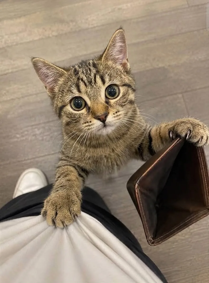 🤑 Хочешь проверить, насколько хорошо ты разбираешься в деньгах и инвестициях?