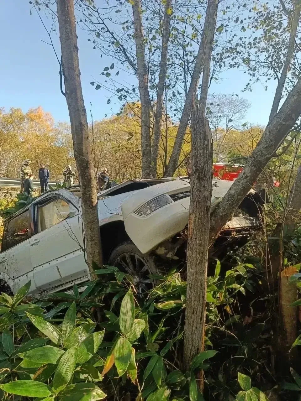 🚑 Lexus слетел в кювет на трассе Южно-Сахалинск — Холмск: трое пострадавших