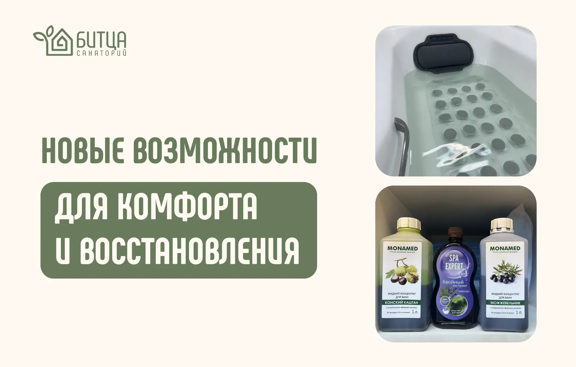🌳 Пятница — день «Битцы», а значит, продолжаем делиться новостями из жизни санатория…