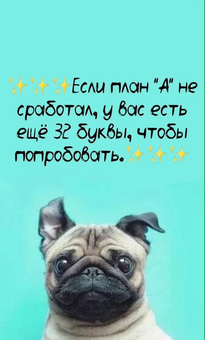 🎉Подписаться на Привет