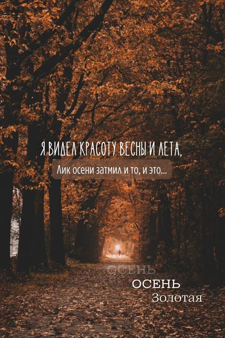 Всем ароматным чудесного воскресенья! ✨