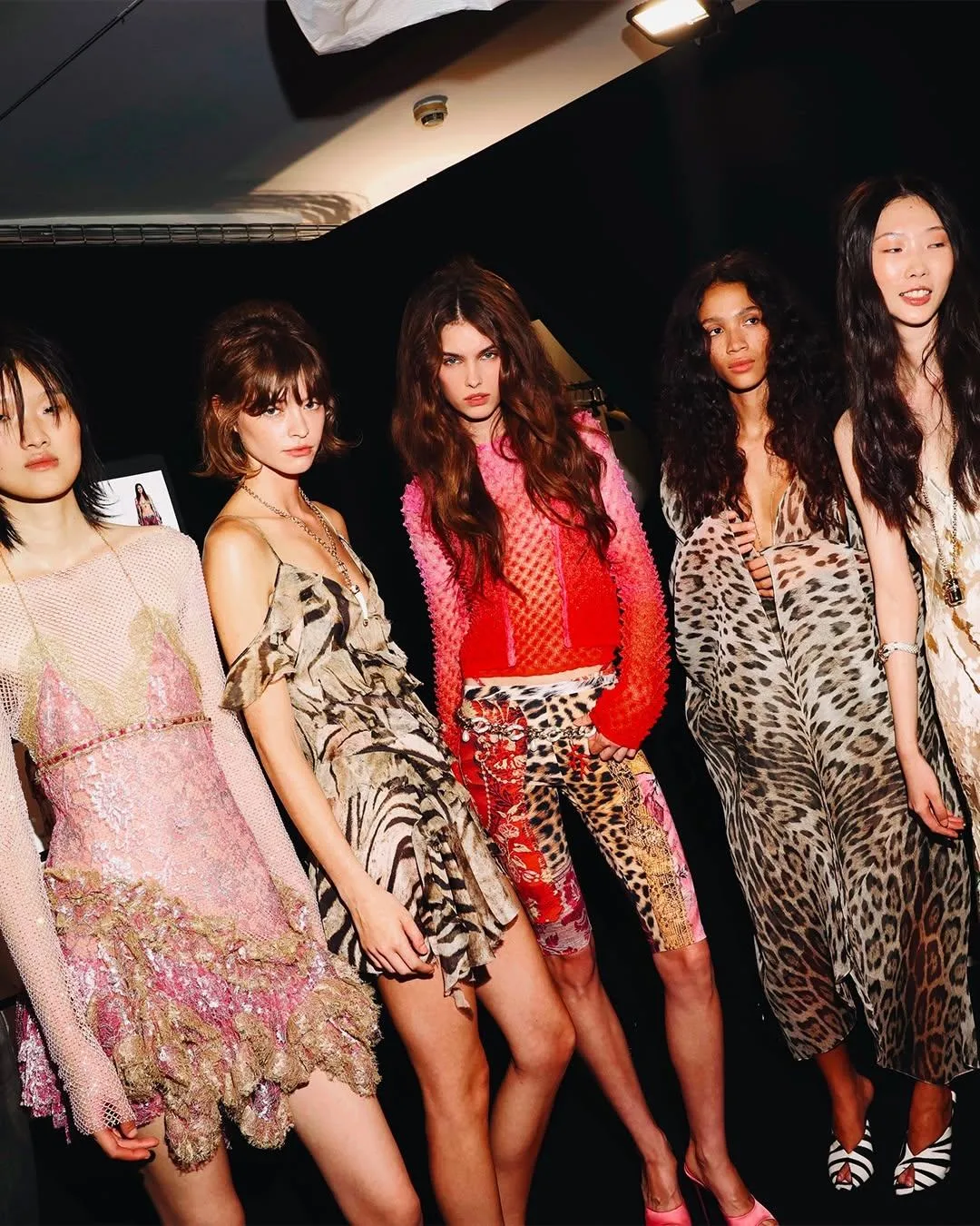 AlterEgo Italy × Roberto Cavalli